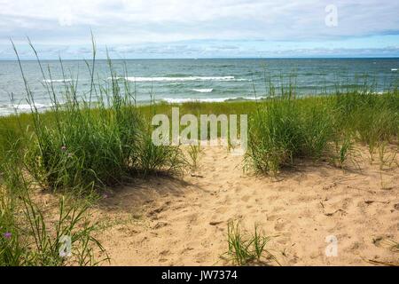 Saugatuck, MI, USA. 14. Juli 2017. OVAL STRAND in Saugatuck, Michigan ist ein Ort. Credit: Alexis Simpson/ZUMA Draht/Alamy leben Nachrichten Stockfoto