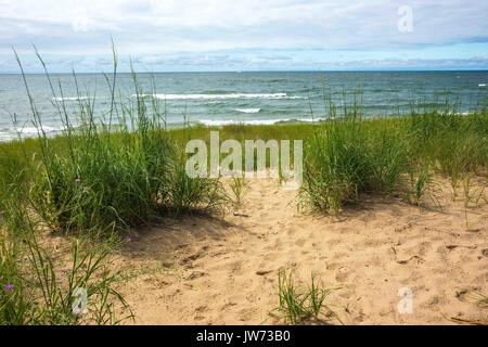 Saugatuck, MI, USA. 14. Juli 2017. OVAL STRAND in Saugatuck, Michigan ist ein Ort. Credit: Alexis Simpson/ZUMA Draht/Alamy leben Nachrichten Stockfoto