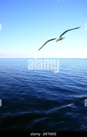 Schönen Meereslandschaft mit hochfliegenden Möwe über das Meer. Copyspace Zusammensetzung Stockfoto