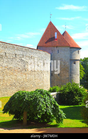 Die alte Stadtmauer von Tallinn, Estland Stockfoto