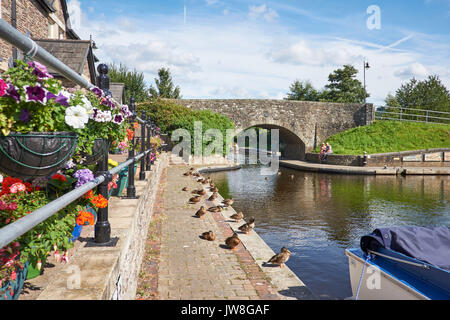 Brecon Canal Basin Powys Wales UK Stockfoto