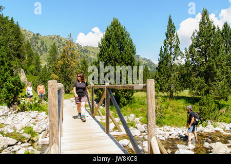 Colomers Seen in den katalanischen Pyrenäen, Spanien. Teil des Parc Nacional d'Aigüestortes i Estany de Sant Maurici Stockfoto