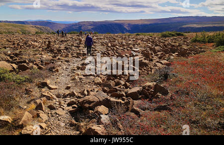 Amerika, Kanada, Québec, Gaspésie, Gaspesie Park, Albert Mont Stockfoto