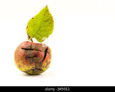 Risse und beschädigte roter Apfel auf weißem Hintergrund Stockfoto