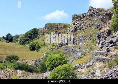 Verlassenen Steinbruch bei Minera jetzt ein North Wales Wildlife Trust finden Stockfoto