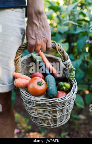 Closeup von einem kaukasischen Jüngling mit einem rustikalen Korb voll mit Gemüse frisch gesammelt in einem Bio-Obstgarten Stockfoto