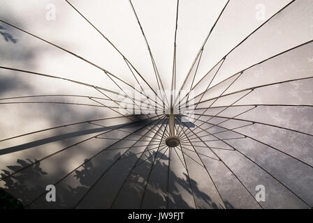 Unter weißer Schirm innen mit Metallstreben und Laub Schatten. Stockfoto