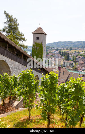 Blick über die mittelalterliche Altstadt von Schaffhausen und Munot Festung, Schweiz. Stockfoto