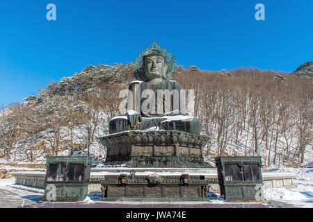 Big Buddha Denkmal von Sinheungsa Tempel in Seoraksan Nationalpark im Winter, Südkorea. Stockfoto