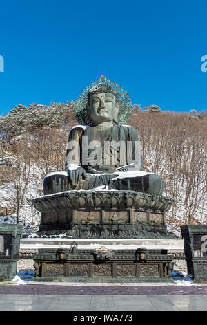 Big Buddha Denkmal von Sinheungsa Tempel in Seoraksan Nationalpark im Winter, Südkorea. Stockfoto