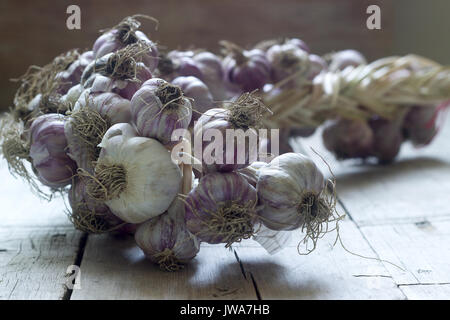 Pigtail von Knoblauch auf Holz rustikale Hintergrund Stockfoto