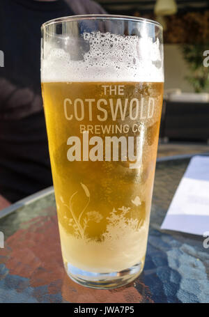 Ein Pint Bier in einem Pint Glas von der Cotswold Brewing Company, England, Großbritannien Stockfoto