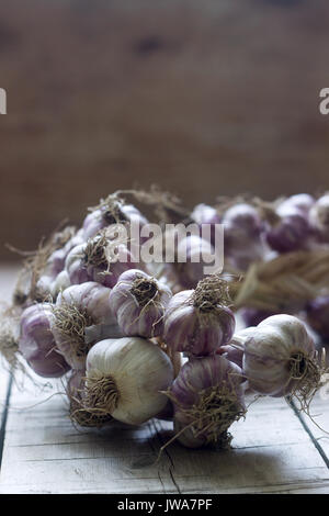 Pigtail von Knoblauch auf Holz rustikale Hintergrund Stockfoto