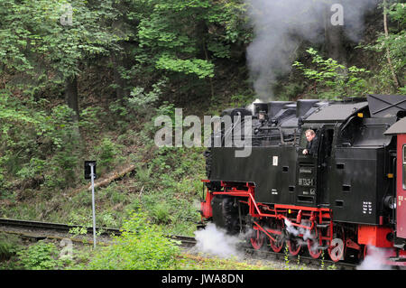 997243-1und Zug klettern zwischen Wernigerode und Drei Annen Hohne. Harzer Schmalspurbahnen. Stockfoto