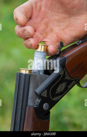 Hunter Laden öffnen doppelläufige Schrotflinte break-Aktion mit zwei kleinen-shot Patronen/shotgun Shells für Spiel Stockfoto