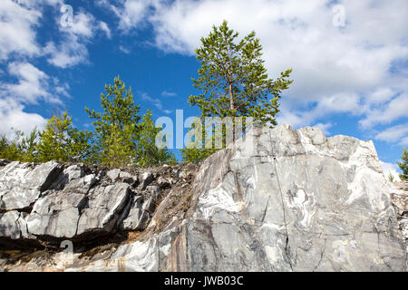 Einsamer Baum wächst auf den Felsen. Stockfoto