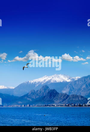 Landschaft Bild von hohen Bergen und fliegende Möwe über klaren Himmel in Antalya, Türkei Stockfoto