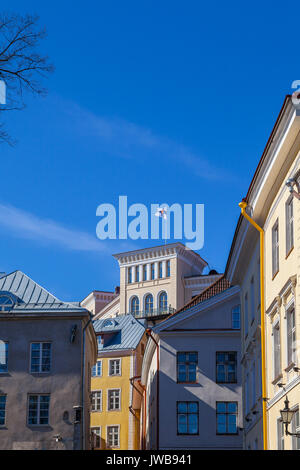 Finnische Flagge in Tallinn, Estland Stockfoto