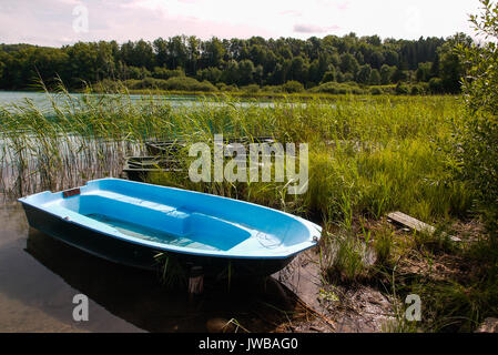 Der See Narlay, Franche-Comté, Jura (Frankreich) Stockfoto