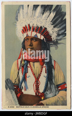 Büffel Kalb, ein jicarilla Apache-Indianischen Postkarten Stockfoto