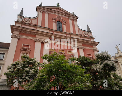 Die Franziskaner Kirche der Verkündigung in Ljubljana, Slowenien Stockfoto