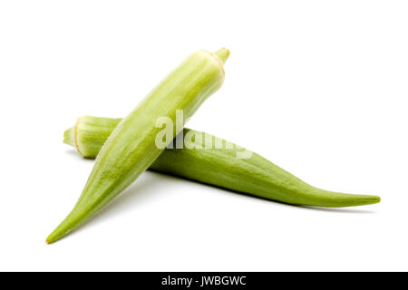 Frisches Grün Okra Pods aus dem Garten Stockfoto