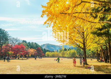 Insel Nami, KOREA - Okt 25: Touristen fotografieren der schönen Landschaft im Herbst rund um Insel Nami. Foto auf Oktober 25,2015 in Seoul, Sout Stockfoto