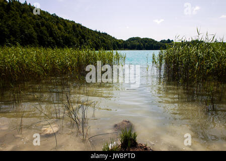 Der See Narlay, Franche-Comté, Jura (Frankreich) Stockfoto