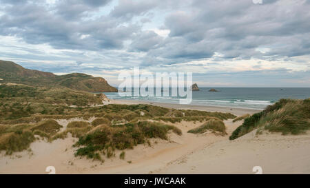 Strand mit Sand Dünen, Sandfly Bay, Dunedin, Otago, Otago Peninsula, South Island, Neuseeland Stockfoto