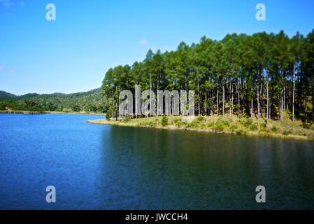 Las Terrazas, einer kleinen Gemeinschaft und das Naturschutzgebiet in der Gemeinde von Candelaria, Provinz Artemisa, Kuba. Stockfoto