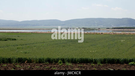 Erstaunliche Landschaften von Israel, Blick auf das Heilige Land Stockfoto