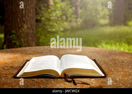 Eine geöffnete Bibel auf einem Tisch in einem grünen Garten Stockfoto