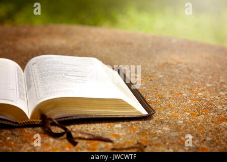 Eine geöffnete Bibel auf einem Tisch in einem grünen Garten Stockfoto