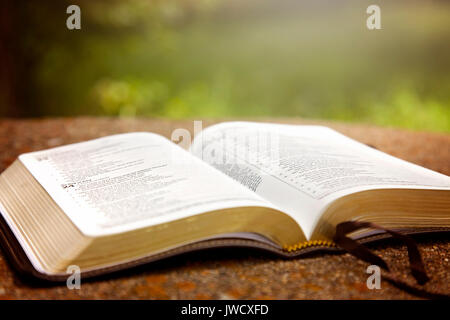 Eine geöffnete Bibel auf einem Tisch in einem grünen Garten Stockfoto