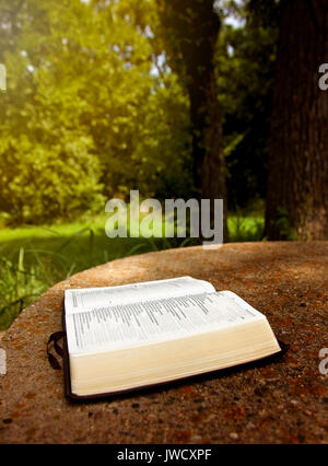 Eine geöffnete Bibel auf einem Tisch in einem grünen Garten Stockfoto