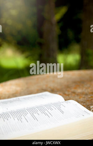 Eine geöffnete Bibel auf einem Tisch in einem grünen Garten Stockfoto