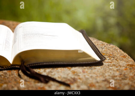 Eine geöffnete Bibel auf einem Tisch in einem grünen Garten Stockfoto
