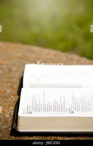 Eine geöffnete Bibel auf einem Tisch in einem grünen Garten Stockfoto