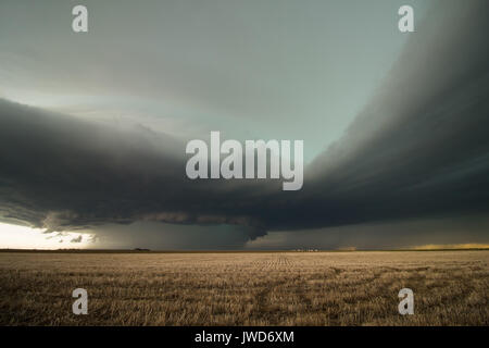 Inflow bands Stream in einen heftigen supercell Thunderstorm auf den hohen Ebenen der östlichen Colorado. Stockfoto