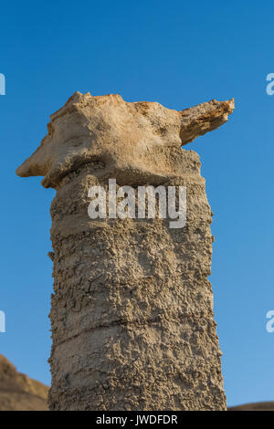 Hoodoo in der dramatischen erosional Landschaft von Bisti De-Na-Zin Wilderness / in der Nähe von Farmington, New Mexico, USA Stockfoto