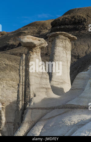 Hoodoos im dramatischen erosional Landschaft von Bisti De-Na-Zin Wilderness / in der Nähe von Farmington, New Mexico, USA Stockfoto