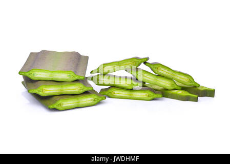 Oroxylum indicum auf weißem Hintergrund Stockfoto