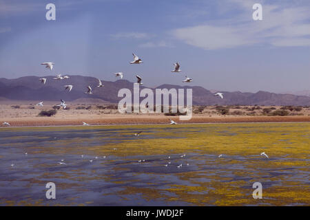 Erstaunliche Landschaften von Israel, Blick auf das Heilige Land Stockfoto