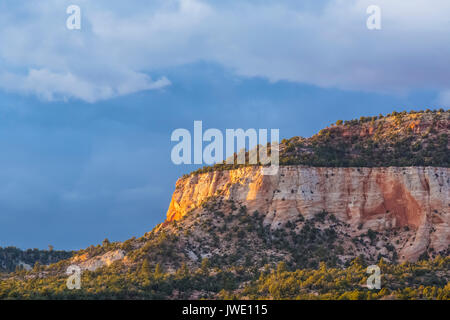 In Coral Pink Sand Dunes State Park, Utah, USA Stockfoto