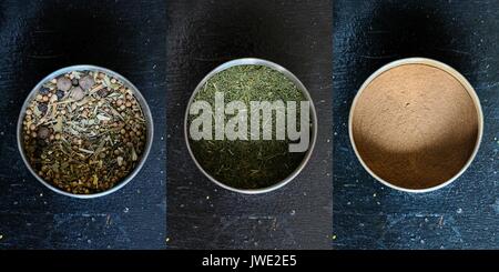 Eine Reihe von verschiedenen Gewürzen in Gläsern für die Lagerung stehen auf einem farbigen Hintergrund. Spas sind bereit für das Kochen leckeres Essen. Stockfoto