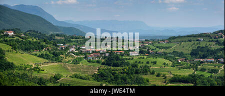 Panorama der Weinberge in den grünen Hügeln von Görz Brda bei Smartno Snezatno aus Slowenien und der trnovo Wald Karst Stockfoto