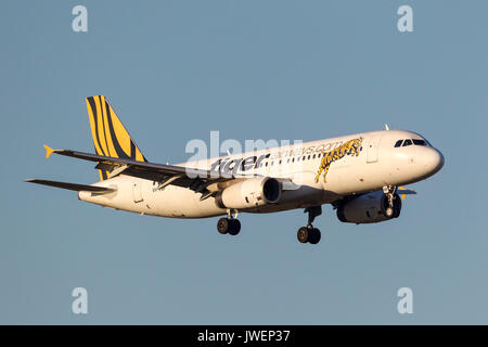 Low Cost Airline Tiger Airways Airbus A320-232 VH-vnp auf Annäherung an der Melbourne International Airport zu landen. Stockfoto