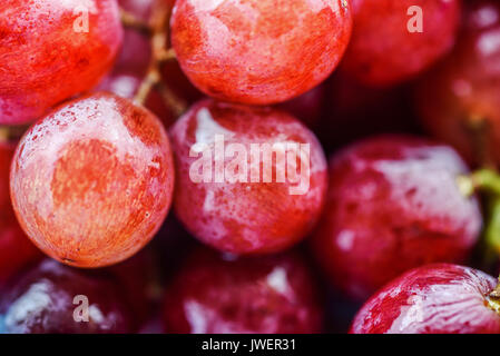 Frische rote Trauben mit Wassertropfen Stockfoto