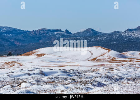 Dünenlandschaft nach einem Frühling Schneefall, mit ATV Tracks, in Coral Pink Sand Dunes State Park, Utah, USA Stockfoto