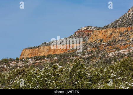 Frischer Schnee auf dem Berg in der Nähe von Coral Pink Sand Dunes State Park, Utah, USA Stockfoto